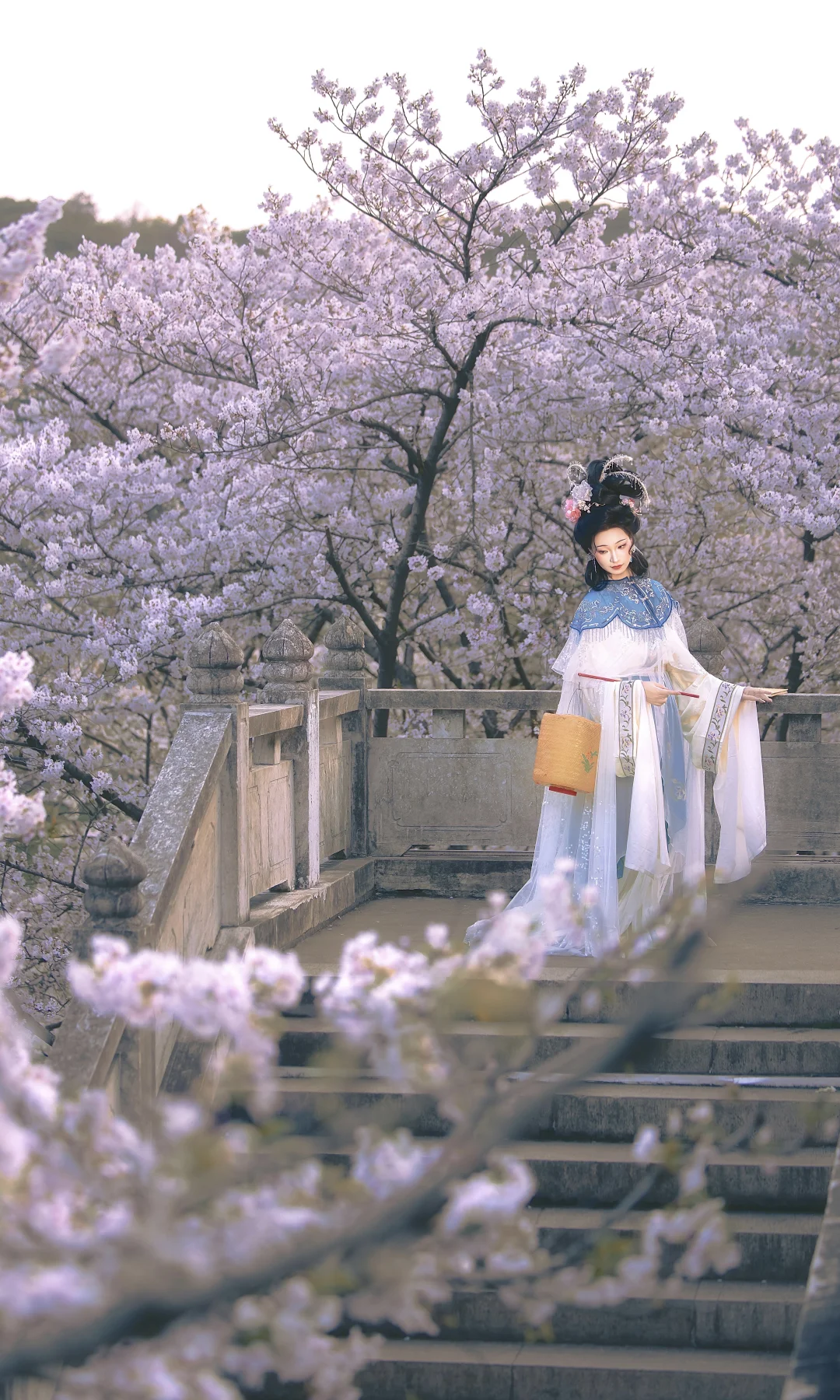 “山樱如美人”🌸
