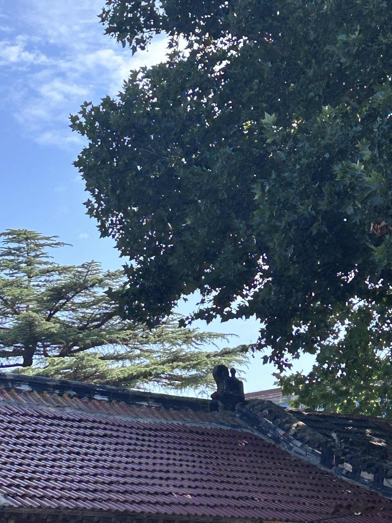 李姨的烦恼，道出了多少老人的无奈！

最近这几天，我邻居李姨整个人状态差得离谱，