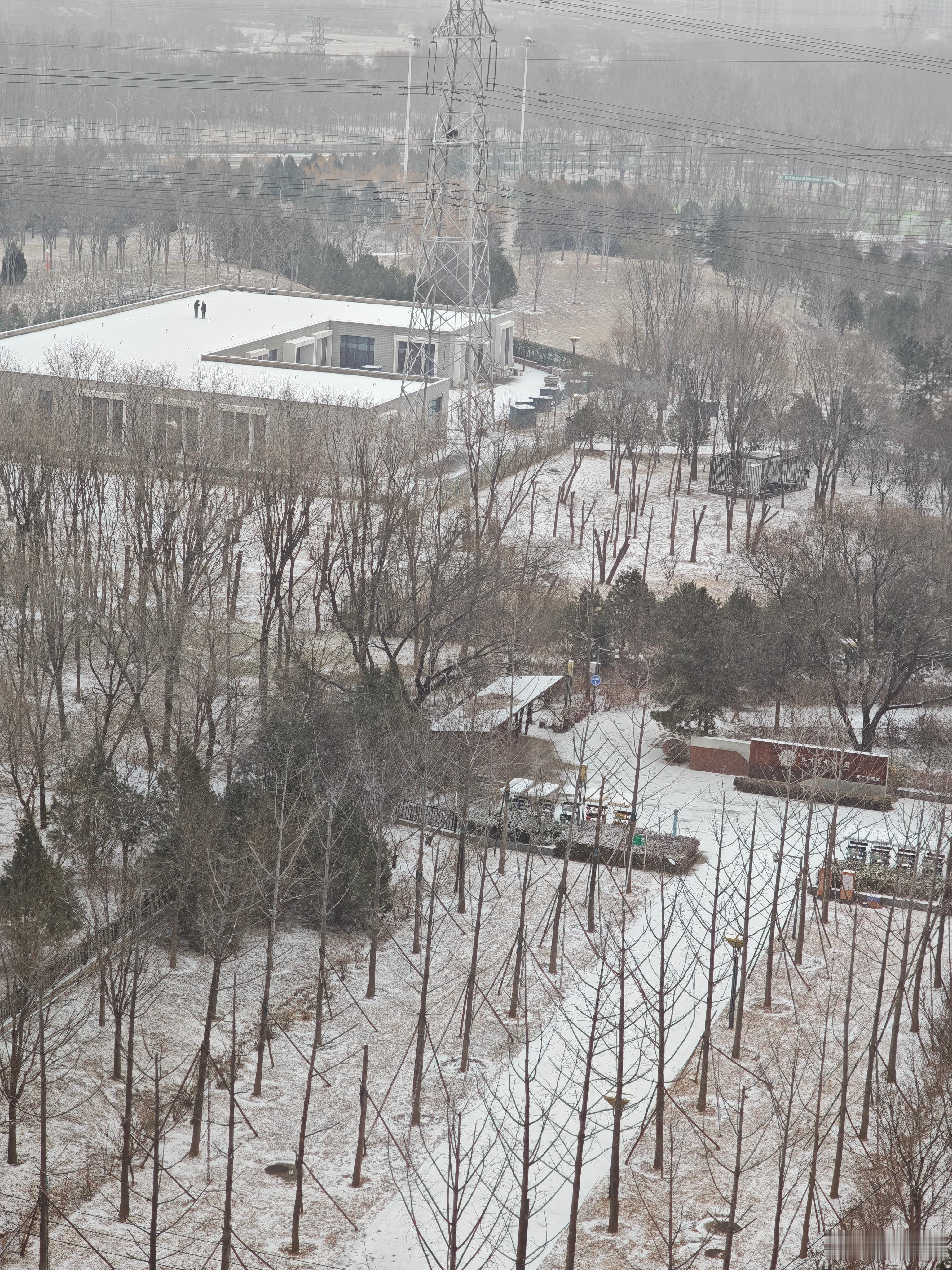 北京下雪北京初雪来了远远的就看到房顶这两大哥玩雪玩的的老开心了明人不说暗话我也想