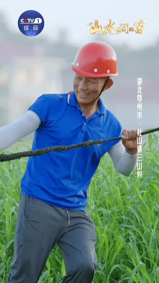 这些风景会让人嘴角流泪有一种美叫丰收中国青山绿水间，五谷渐渐丰登，乡亲们的笑也愈
