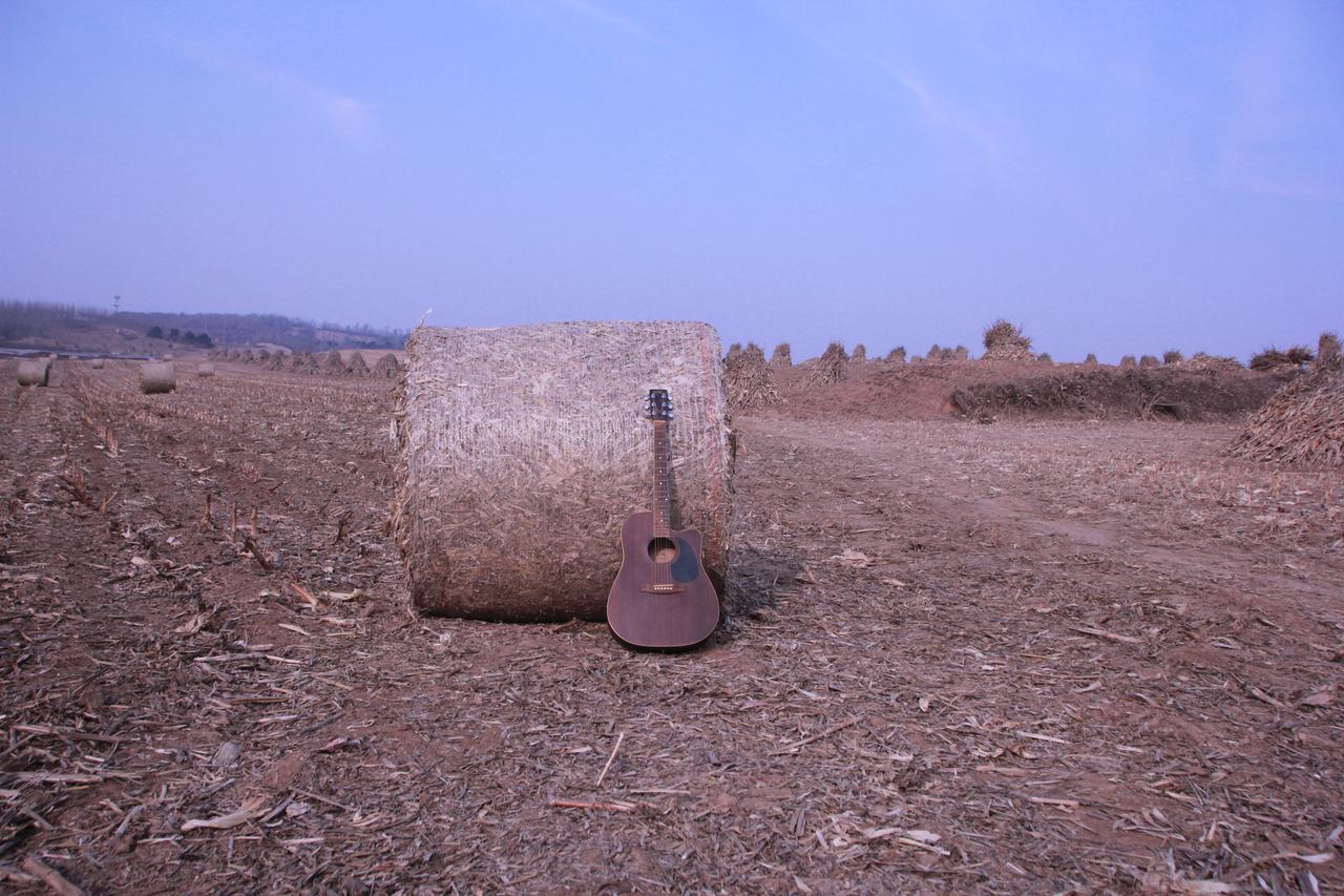 风掠过枝头时，秋便悄悄铺展了画卷。澄澈的天褪去暑气，蓝得透亮，偶有几缕云絮轻飘，