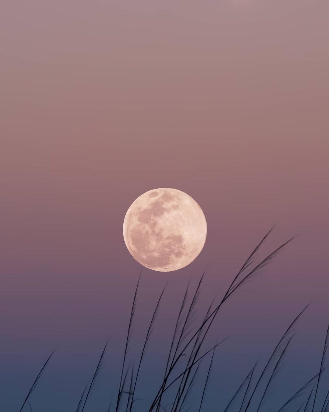 中秋节快乐 -  Antonio #月圆中秋夜团圆共此时# ​​​