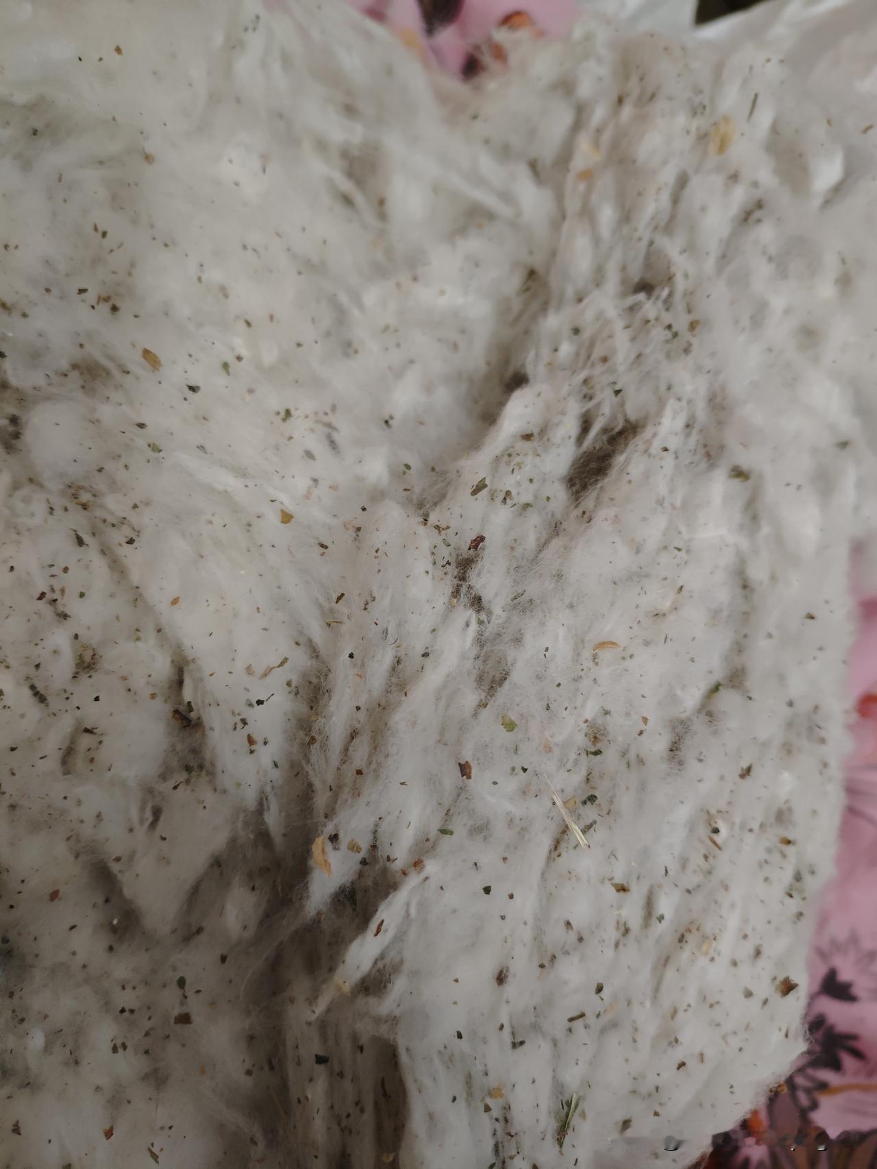 今年冬天的不同这个新疆棉花可不咋地！