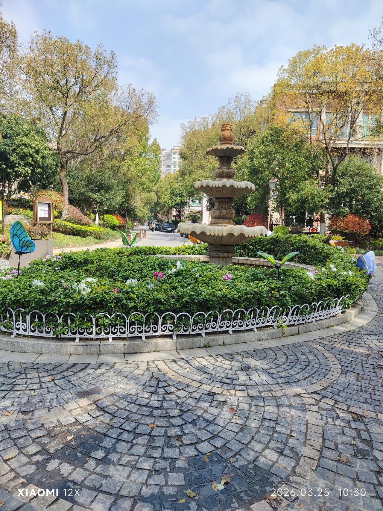 小区内散步随拍（园内小河最宜人）