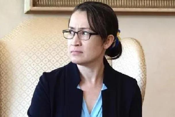 1月7日，台独顽固分子台湾地区副领导人箫美琴嚣张地说，“大陆今天再次打压内政部刘