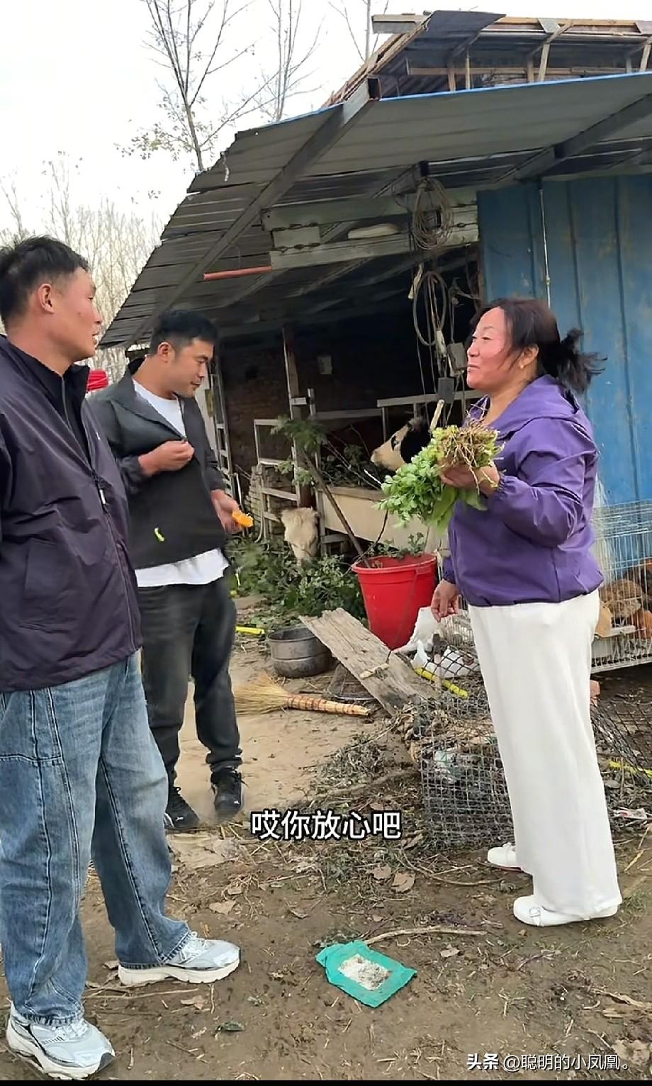 小故事！
    这小飞 要出门外直播带货了，之前 打算带上丈母娘去直播间卖货，