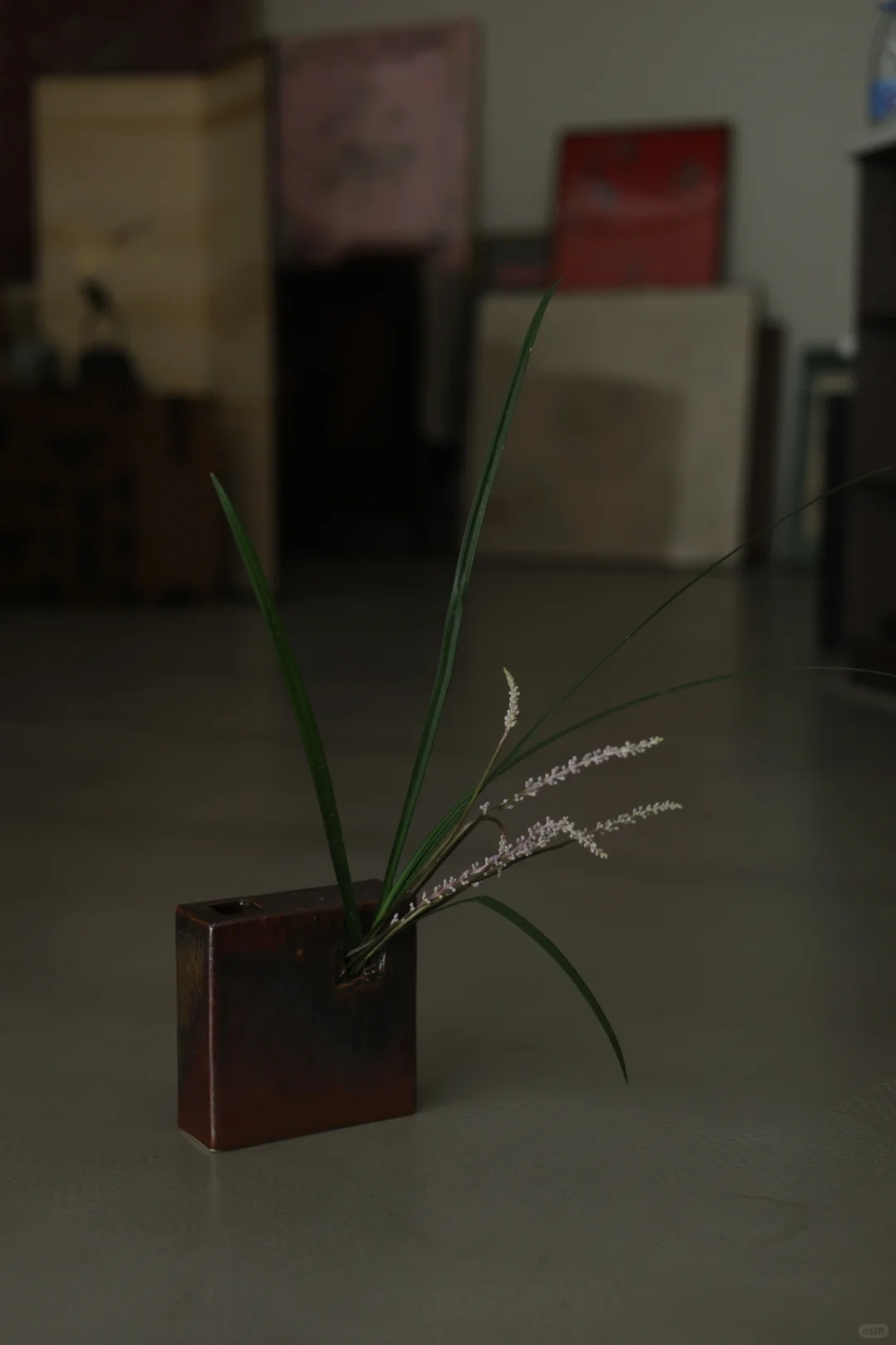【YOUJIAN】一器两用，器物和植物的状态都极佳