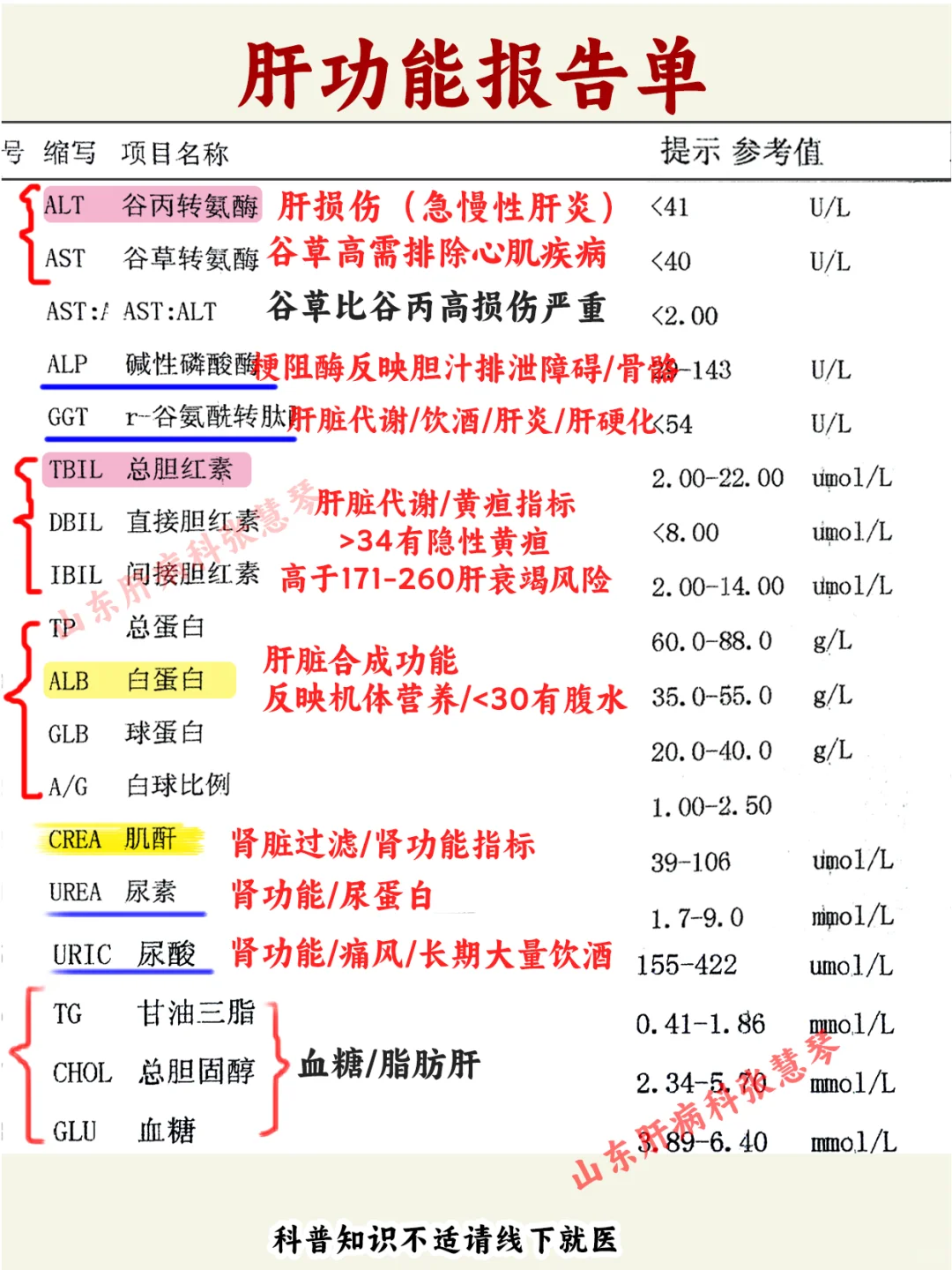 肝好不好，肝功能这么看一看便知！