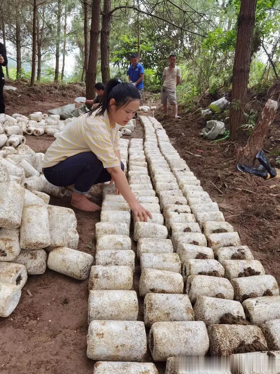  
横渠四句想必大家都听说过，“为天地立心，为生民立名，为往圣继绝学，为万世开太