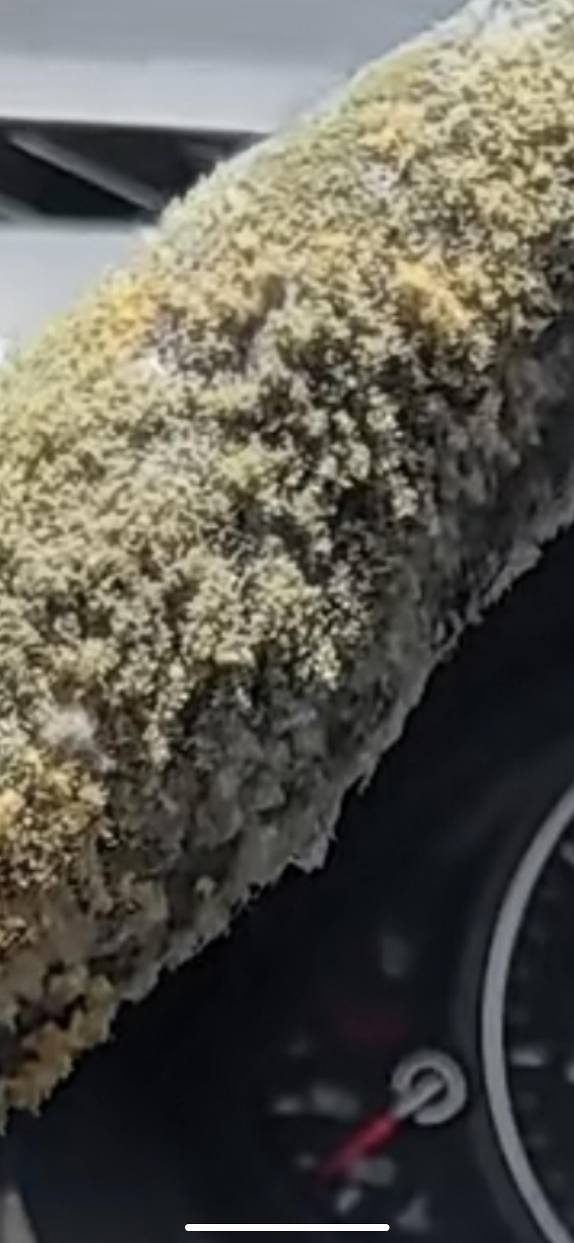 你家的车多久没晒太阳了？6月16日，湖南一车主将车子停在地库一个多月又逢连续阴雨