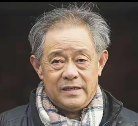 81岁的“金陵大盗”徐湖平被判3年有期徒刑，还罚了20万，相比起这三年刑期，开除