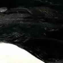 互评  安稳无虞是生活最低标准在此之上再去邂逅万般美好日复一日的平淡时光里也要持