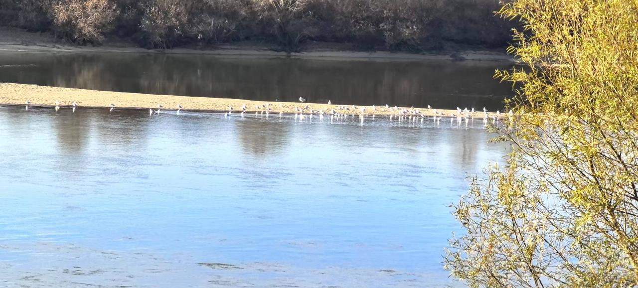 山高水长画魂足