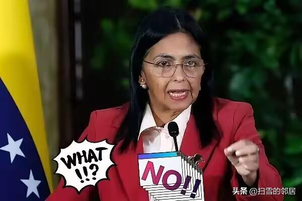 委内瑞拉代理总统德尔西·罗德里格斯解除了国防部长弗拉基米尔·帕德里诺·洛佩斯的职