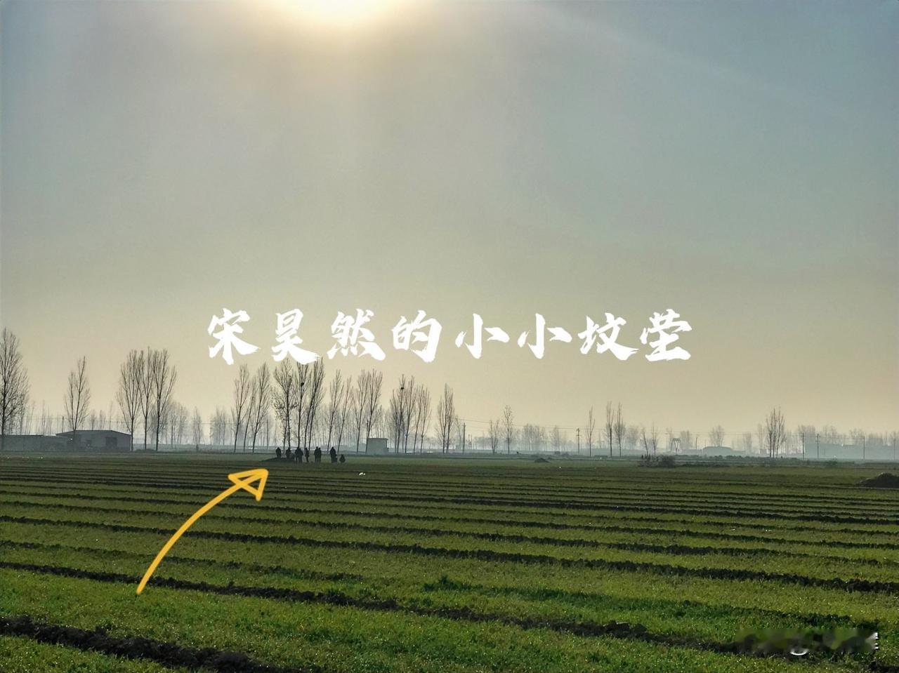 总在记忆里（1520）：孩子，早上好。深圳变天了，气温17摄氏度，有风的时候，感