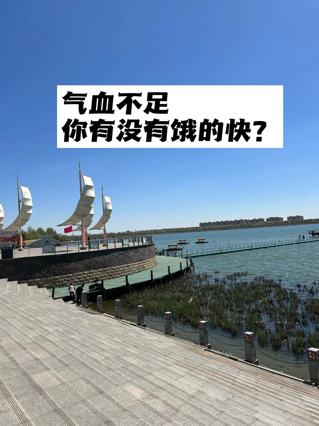气血不足，你有没有饿的快？