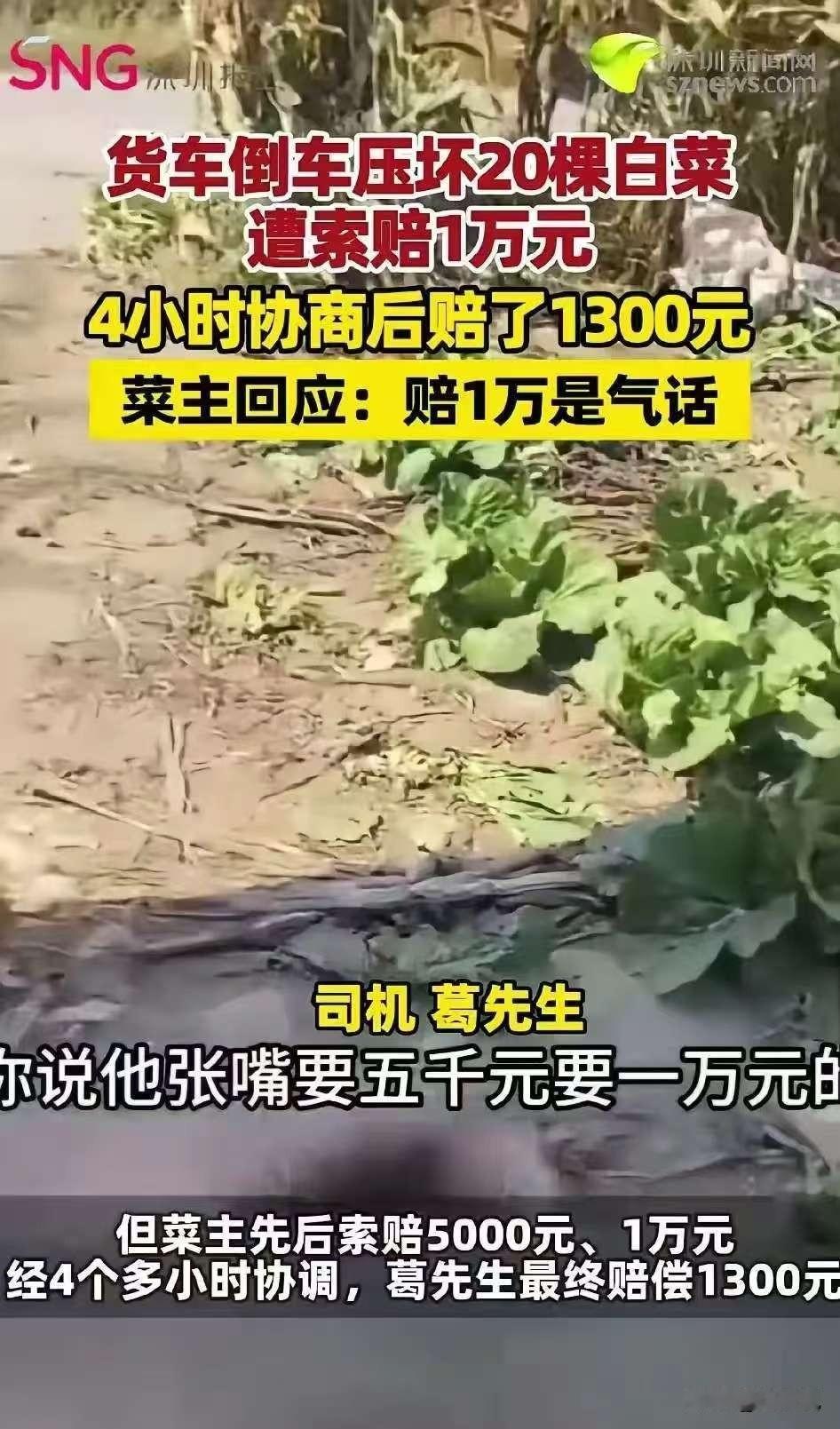 货车倒车压坏20棵白菜，菜主先要5000，再要1万，僵持4个多小时，最后司机赔了