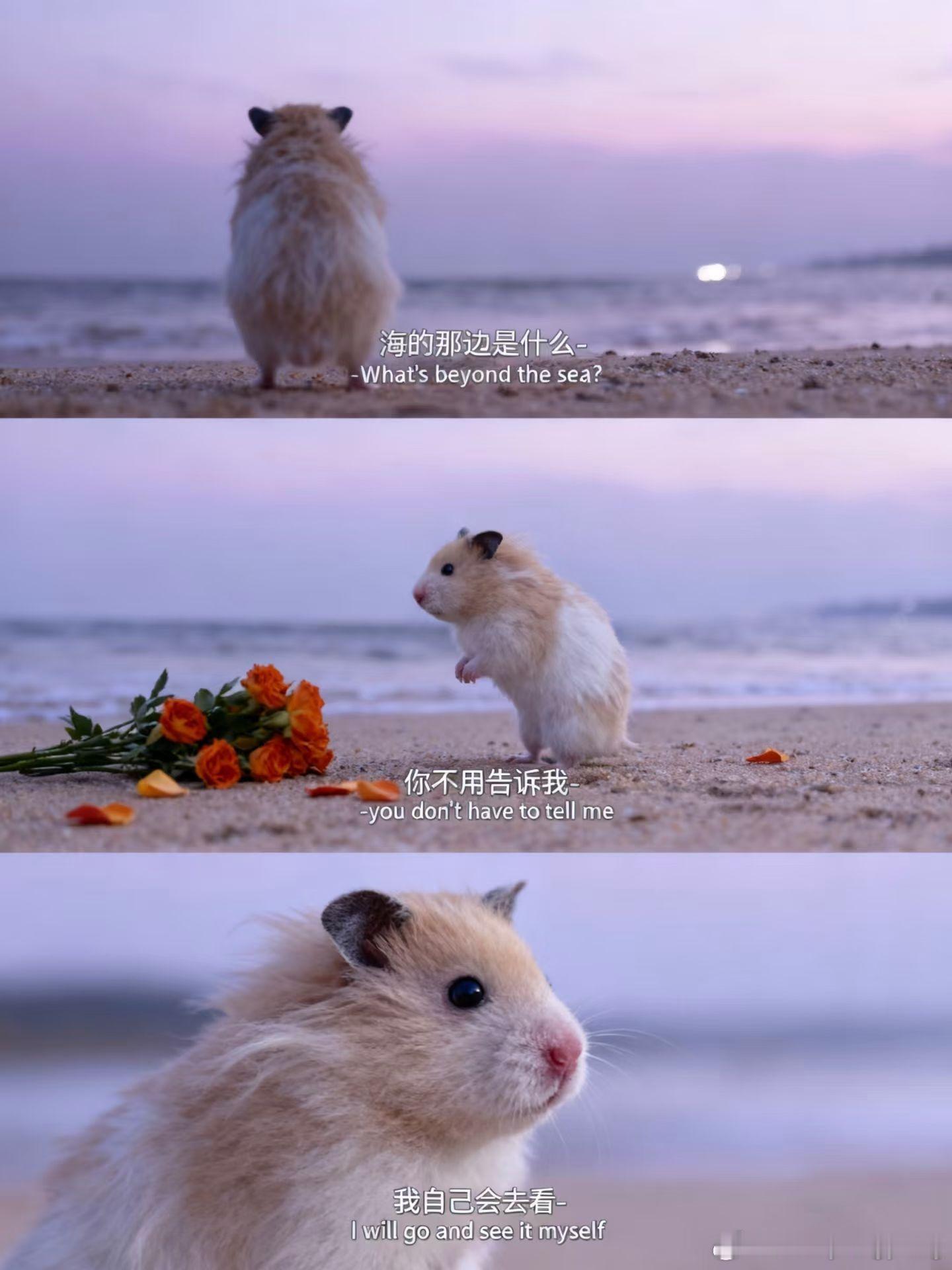晚安，美好的世界💤 ​​​