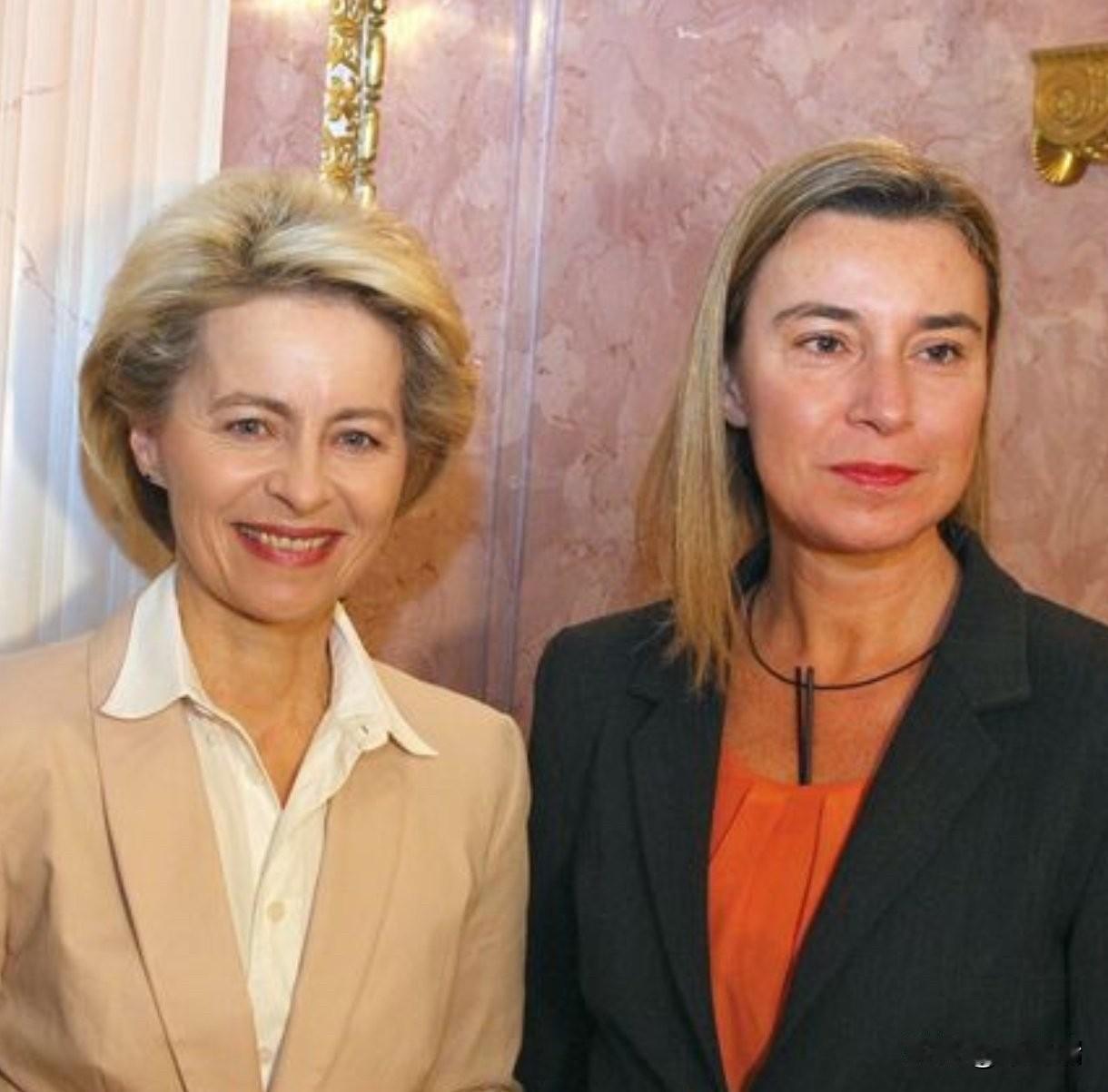 突发新闻：欧盟前外交事务高级代表费代丽卡·莫盖里尼因涉嫌欺诈被捕。

欧盟的生存