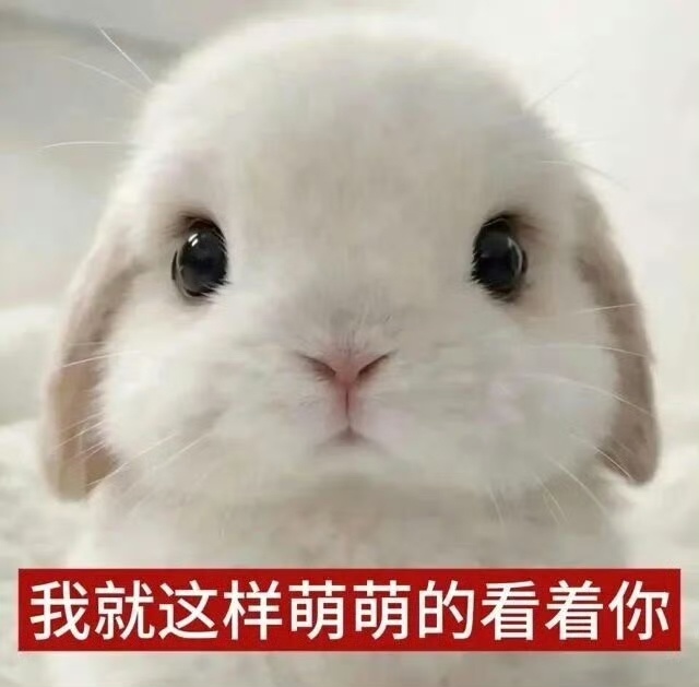 压力一个相片？ 