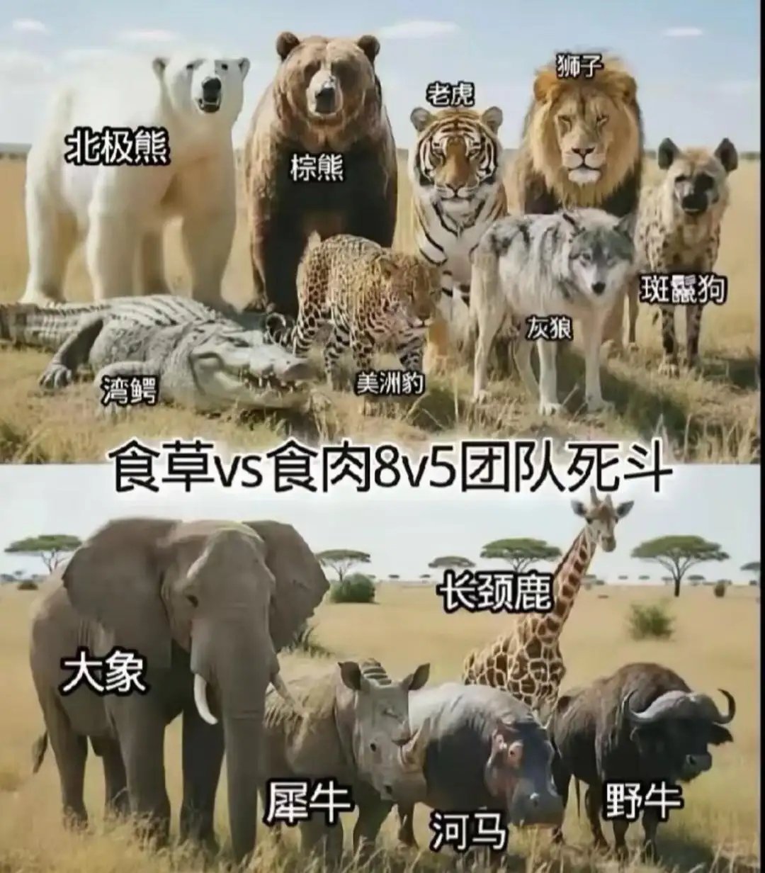 哪一组胜算大一点？ 