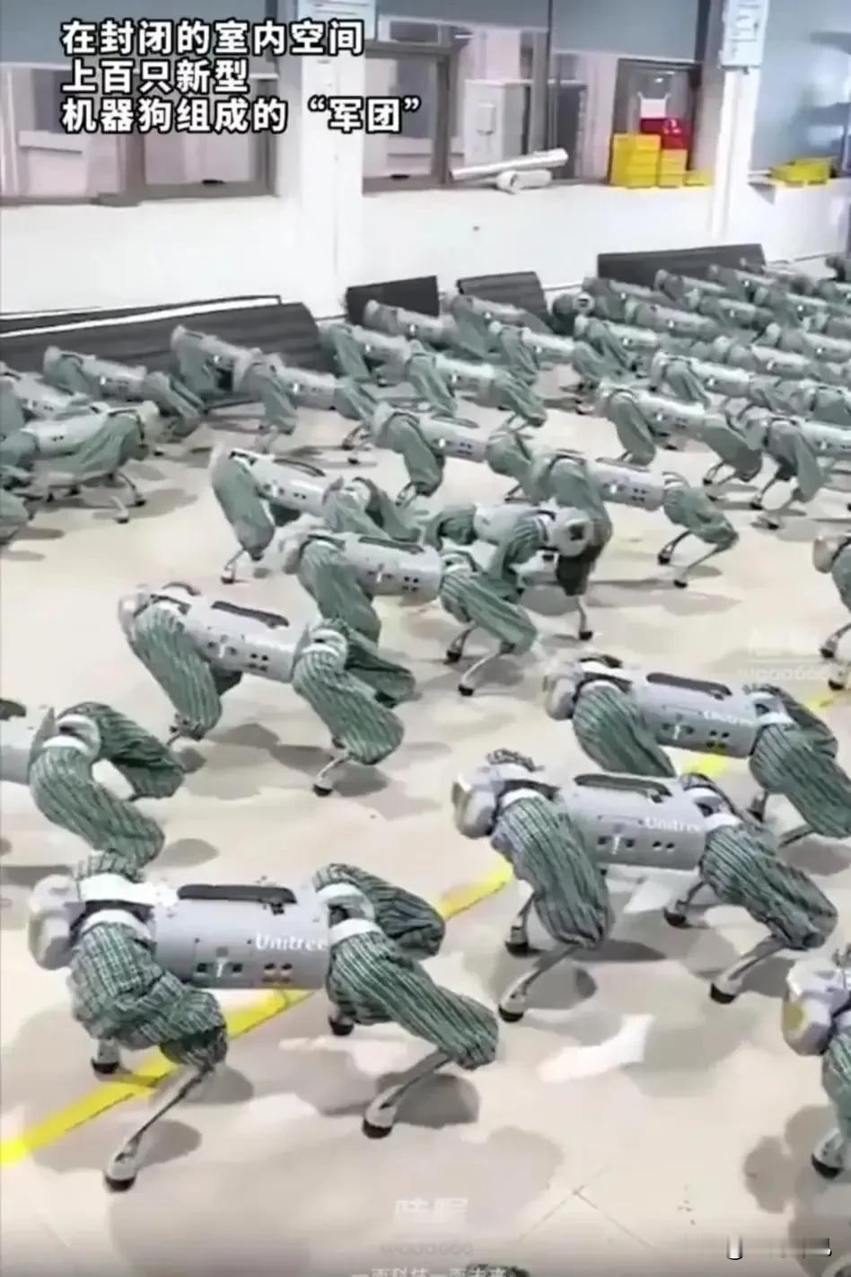 美国这下子彻底把以色列害苦了。

美国在咱们家买了一批700多台机器狗，通过一系