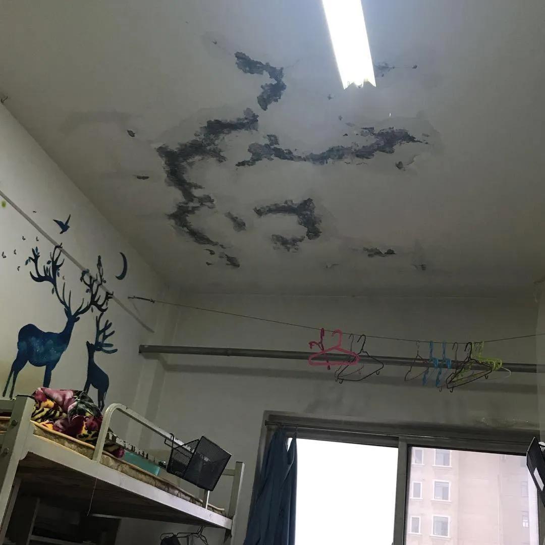 中学生指责学校“有钱建草堂，没钱修宿舍”。教育体育局:反映漏水问题已经修复，学生
