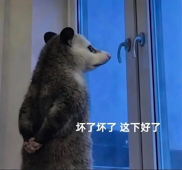 社交平台上到处都是这只老鼠，请问哪一只是属于你的 