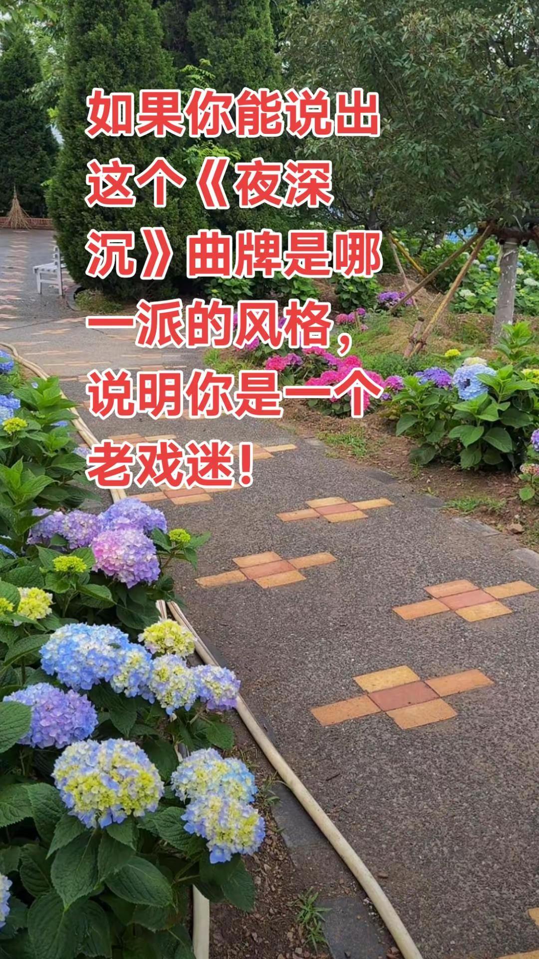 如果你能说出这个《夜深沉》曲牌是哪一派的风格，说明你是一个老戏迷！