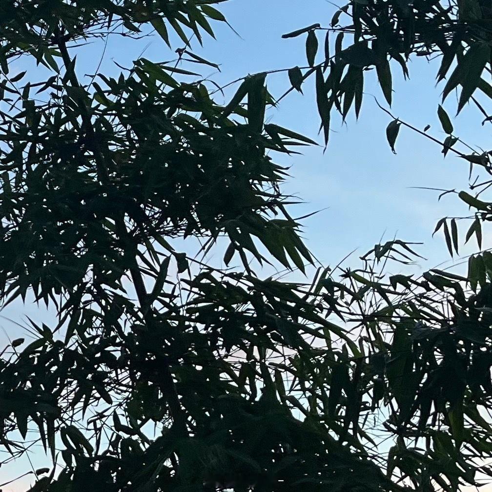 0000没有心宽似海，哪有风平浪静，做人，尽本分，做事，凭良心，穷时，要把自己当