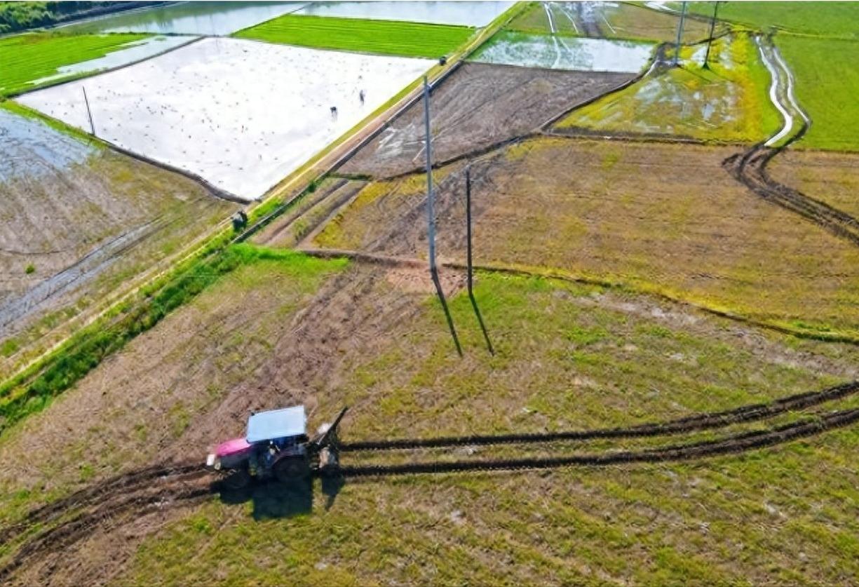 中美印耕地面积对比：美国25亿亩，印度24亿亩，中国多少亩？

美国，它的耕地堪