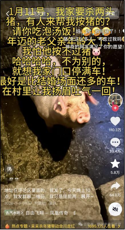 按猪也能出圈？合川文旅“按”住了流量密码按猪？出圈？十公里堵车？2026年第一个