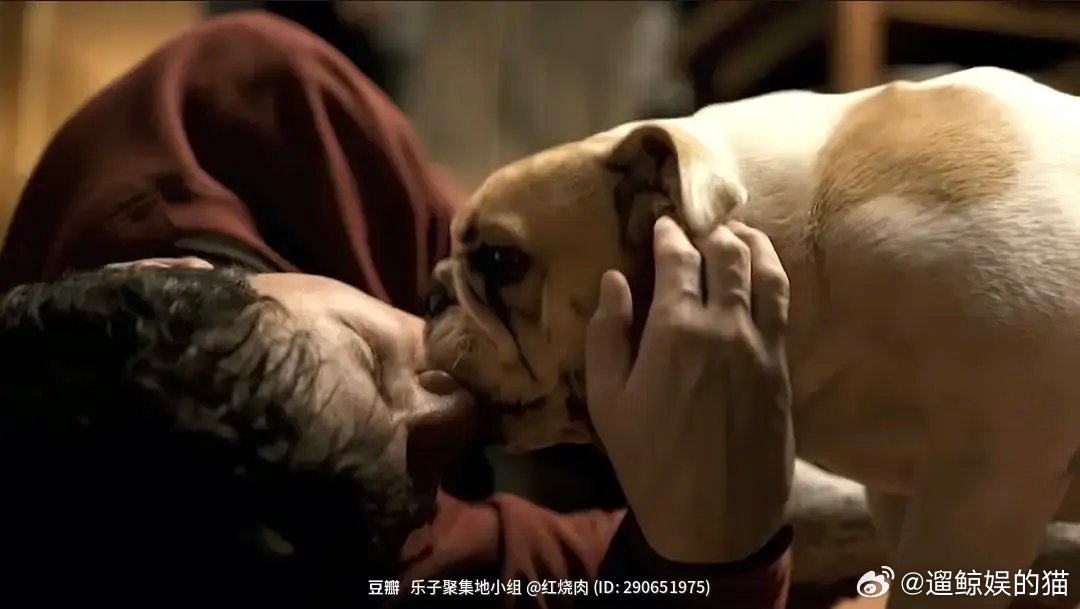 现在电影都这么颠了，何意味 