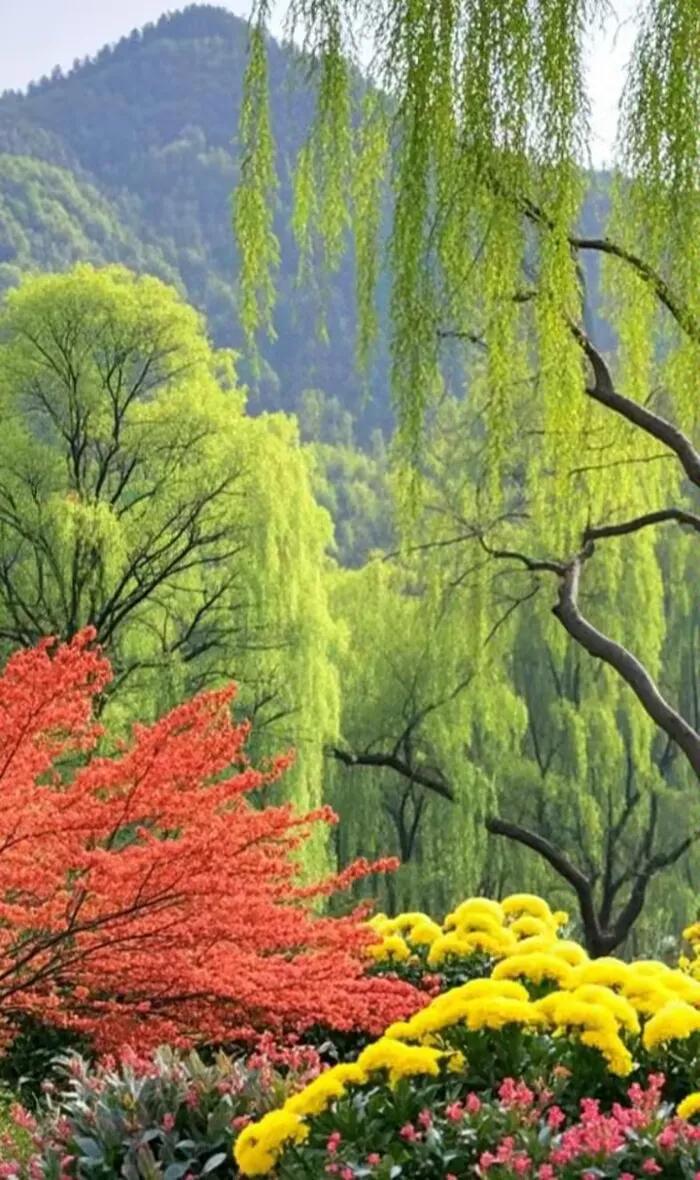 上联：柳绿红花春满园

下联：枫丹金菊秋盈岭

上联描绘了春天里柳树翠绿、花朵鲜