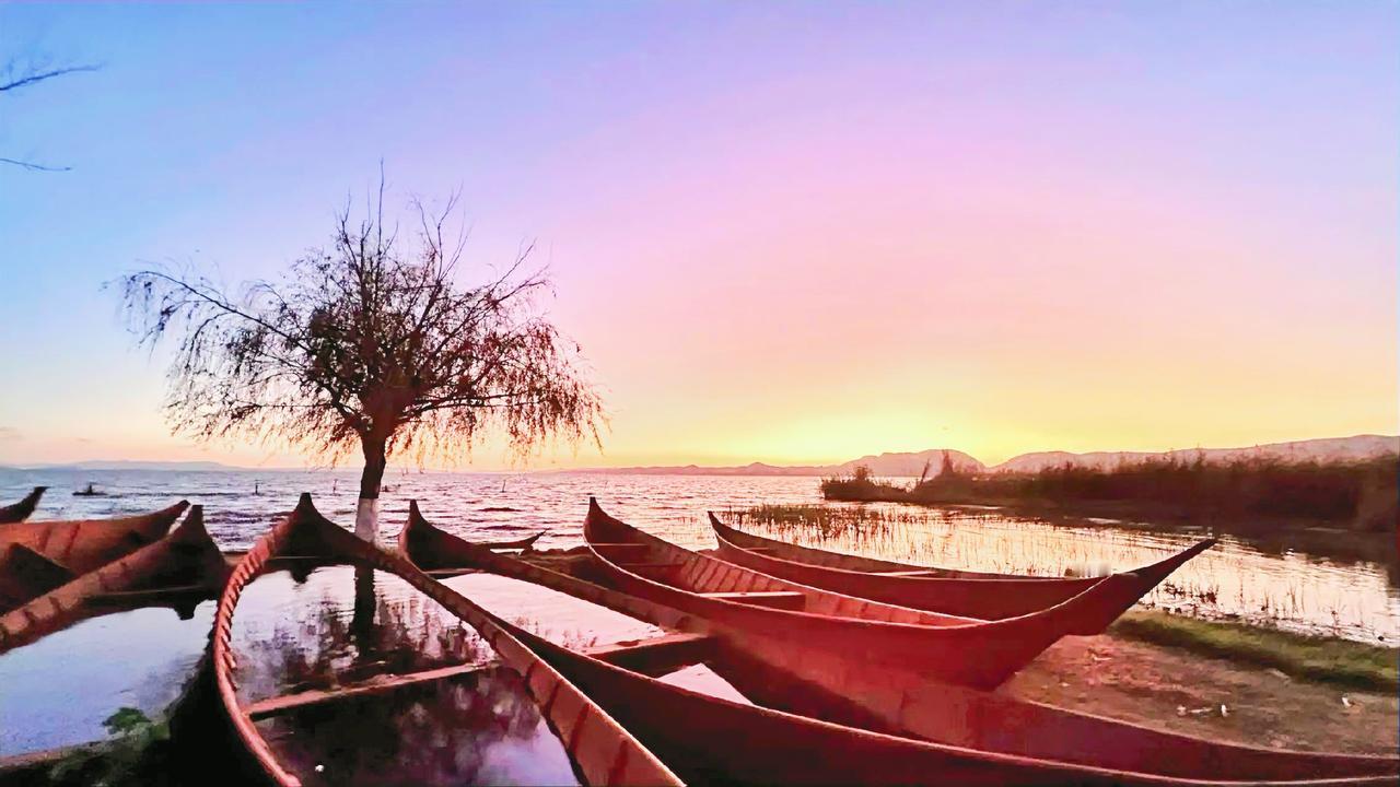适合自己的就是最好的，诚哉斯言！生活里，我们常被社会标准和他人眼光裹挟。比如盲目