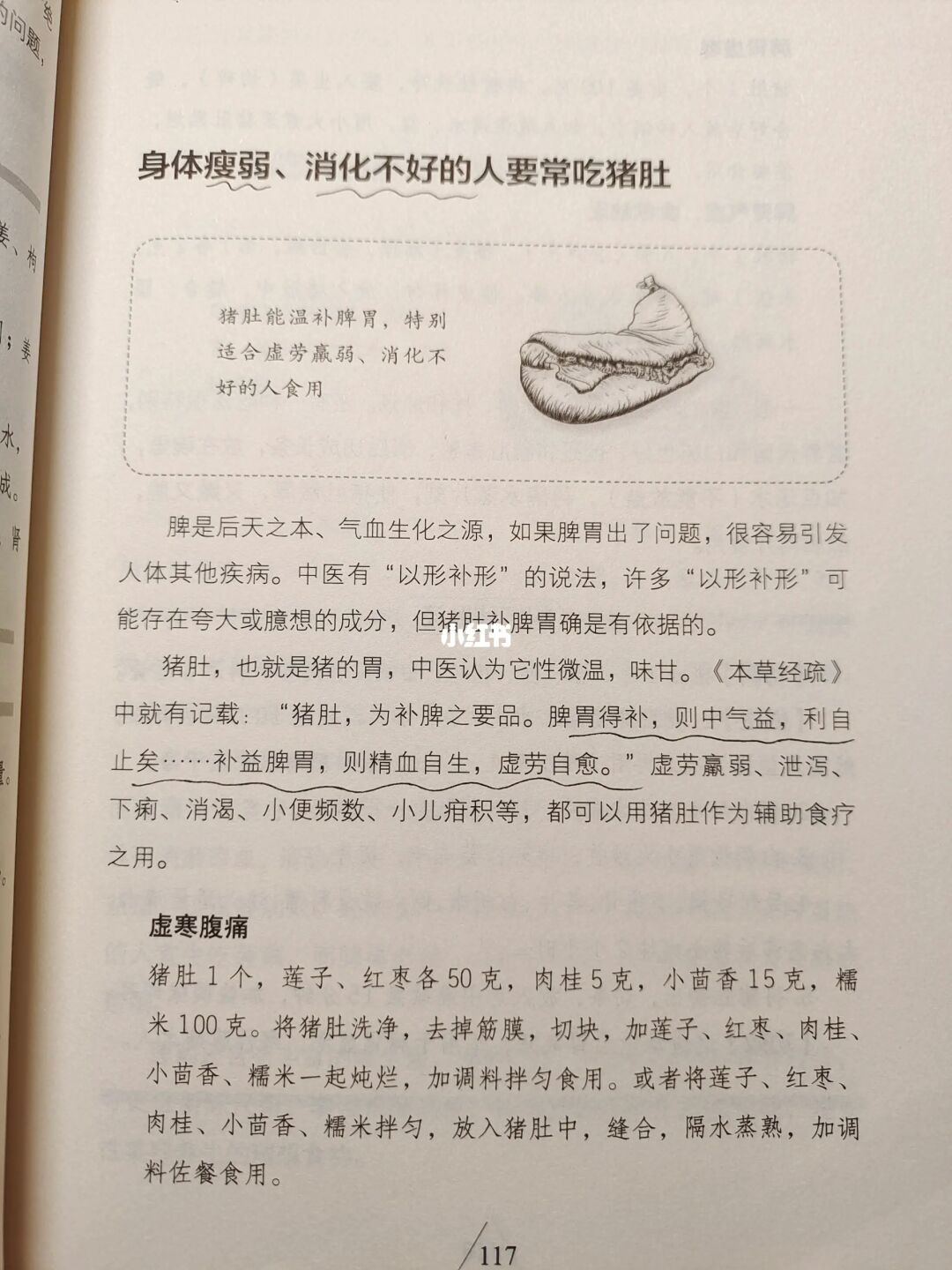 养好脾胃，吃对食物，吃出好脾胃🔥🔥