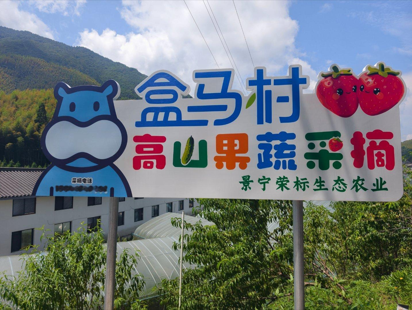 在丽水看盒马村畲族的十大碗，真的很大。不超过十个人，不建议点，根本吃不完。盒马和