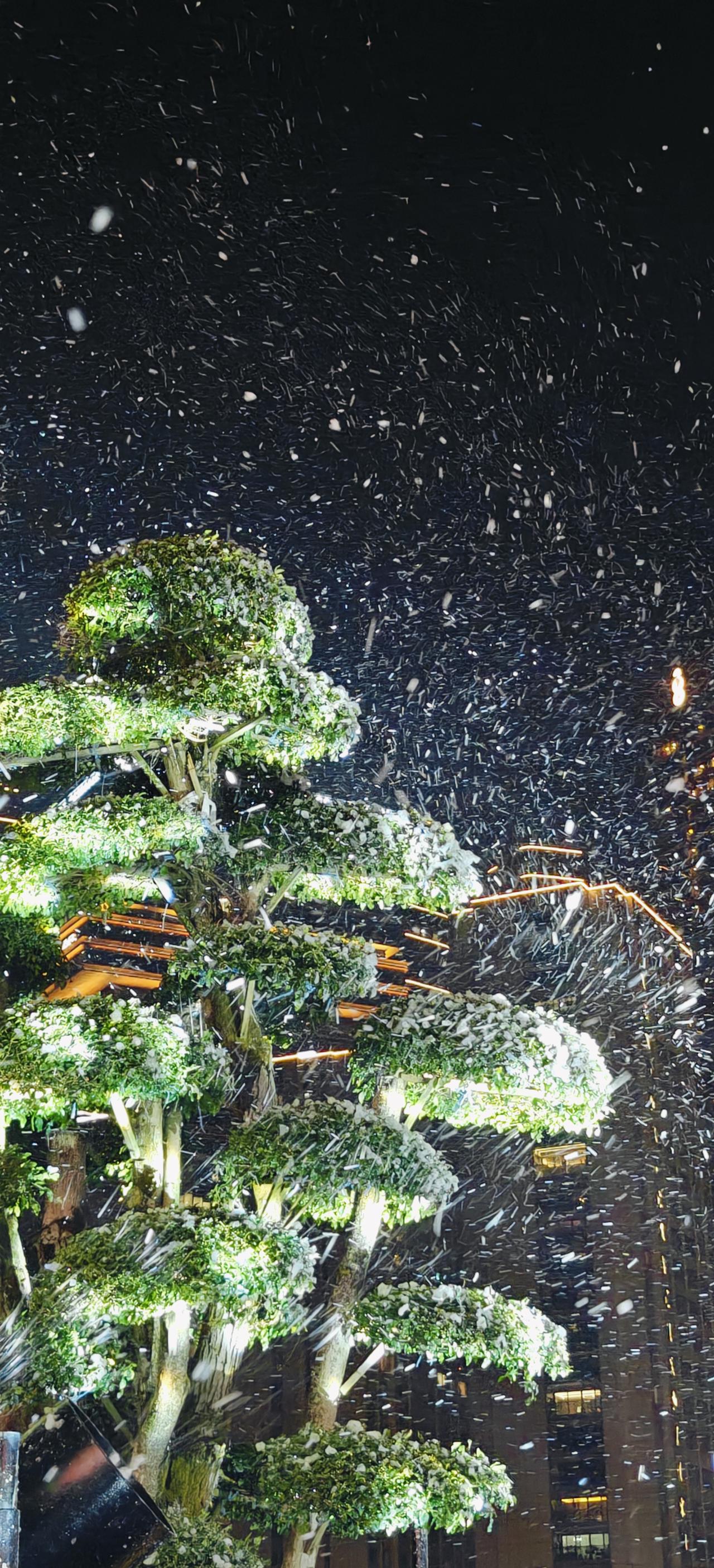 晒图笔记大赛2025年杭州的雪来的有点早，这漫天的飞雪，让人心旷神怡，愿大家明年