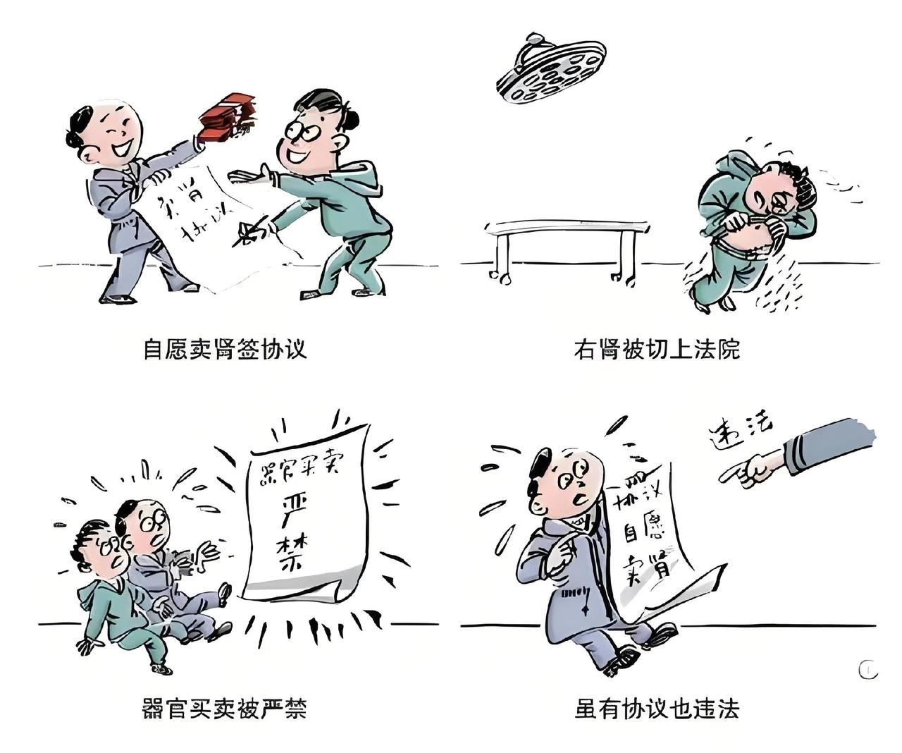 刚刷到一个视频把我惊呆了，

组织卖淫嫖娼的基础量刑是5年以上，

组织人体买卖