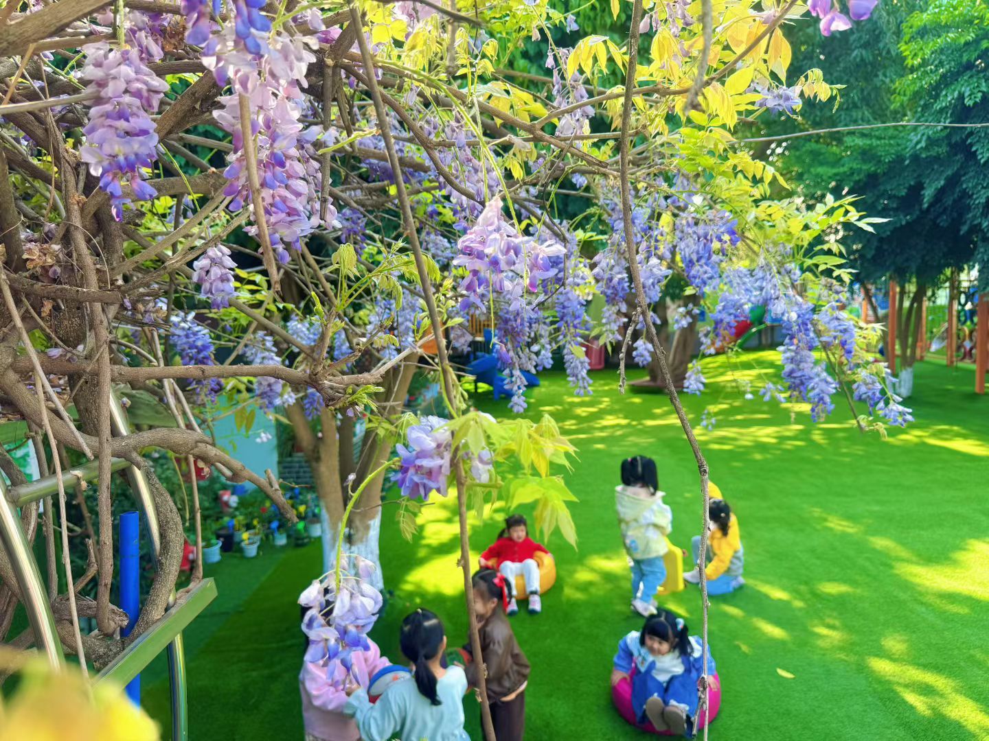 晚安💤寄语2026年3月26日 · 感恩有您 🌙来日并不方长，所有当下，即是