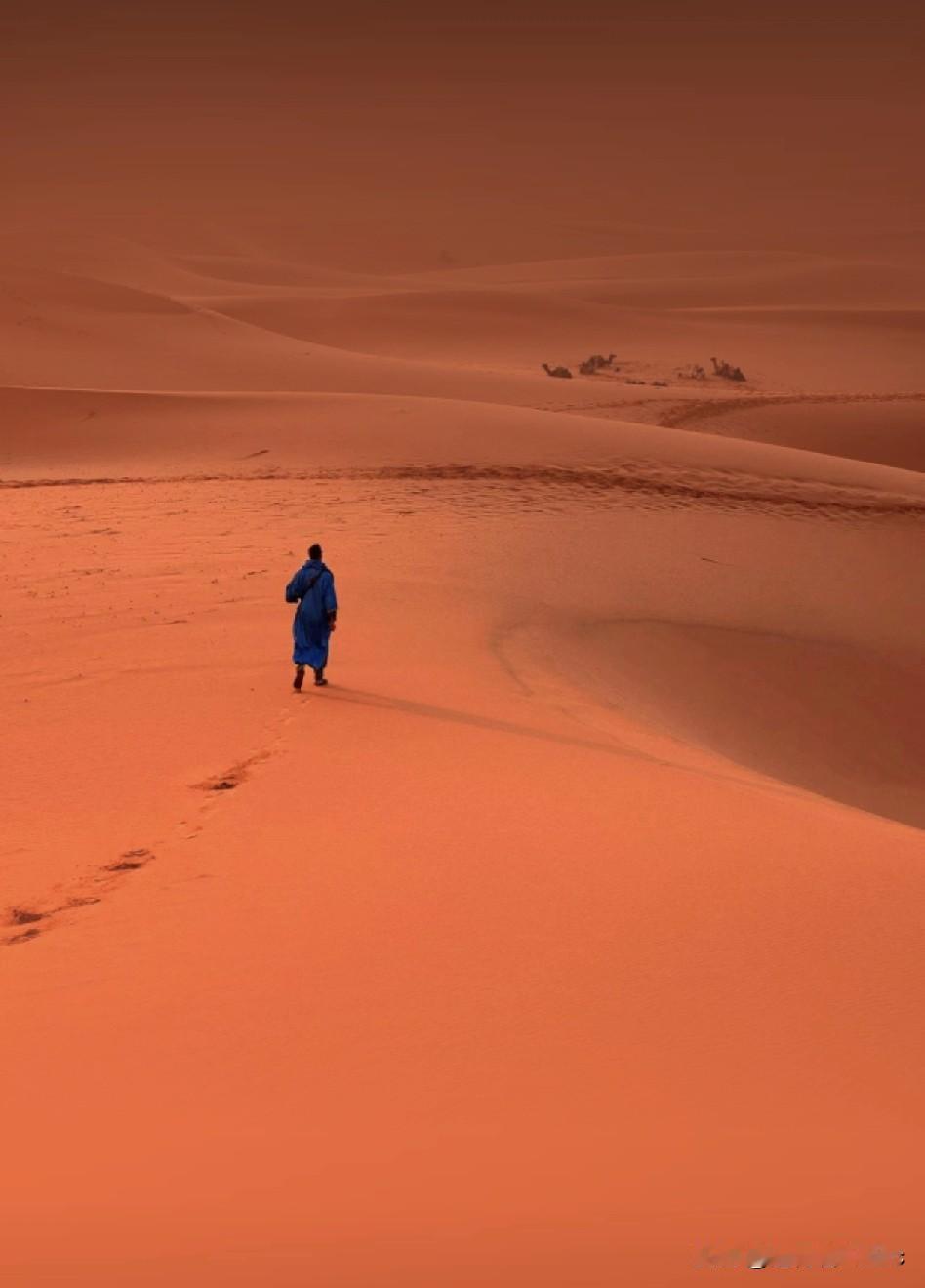 人到一定年龄，会允许真情和假意并存。
