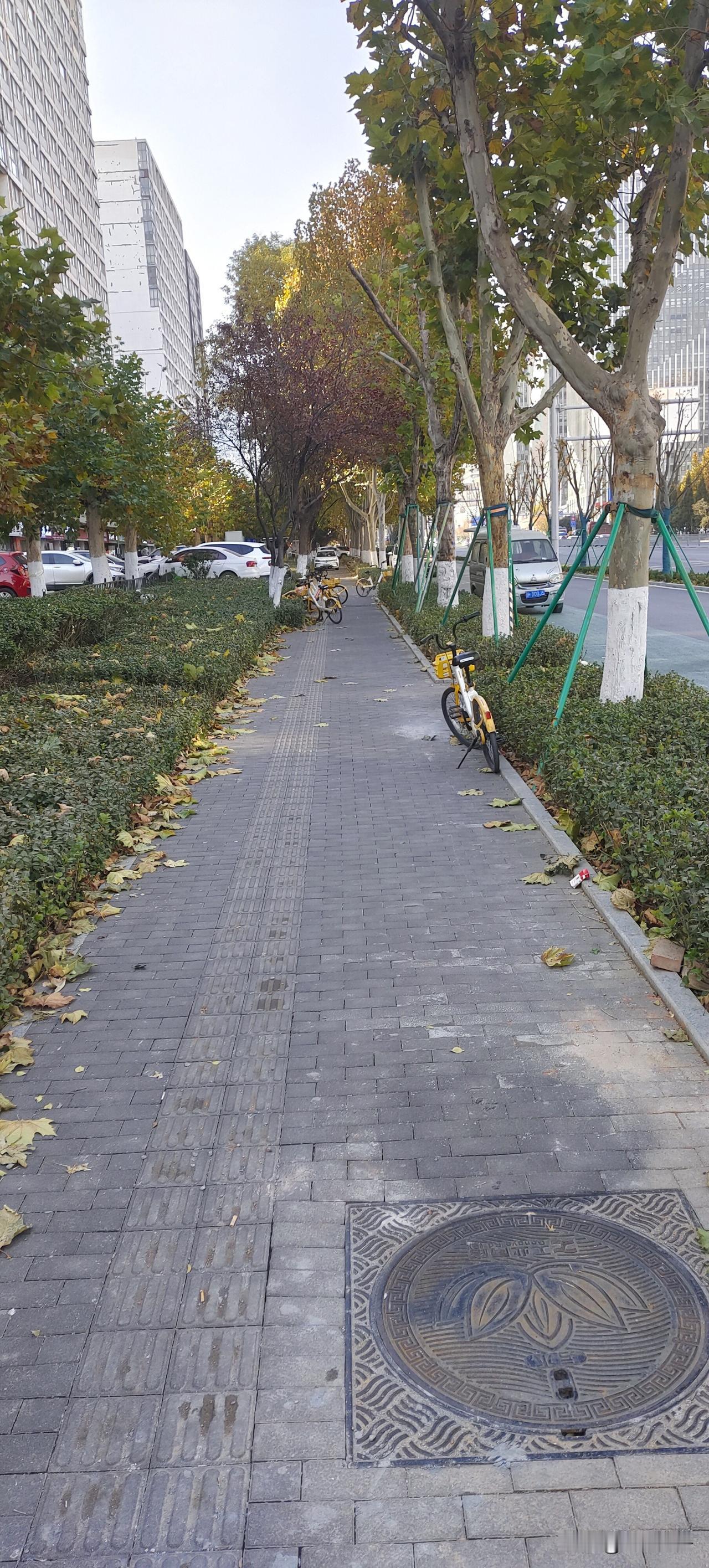 济南高新的人行道！