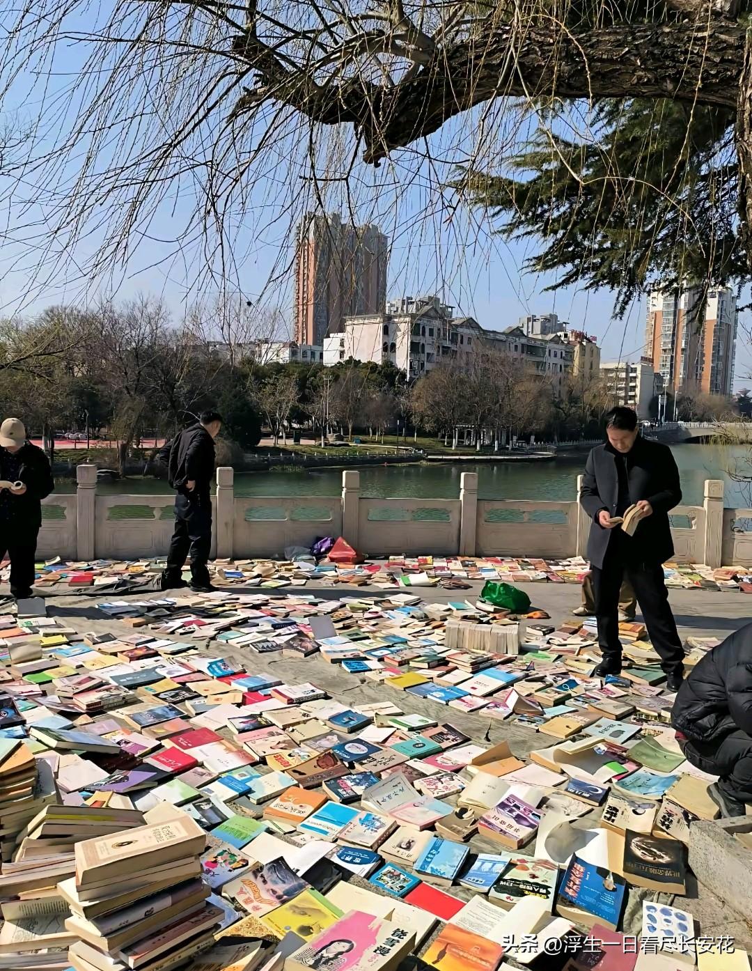 路过河边的旧书摊，突然停下了脚步。阳光透过柳树梢洒在摊前，《平凡世界》《活着》《