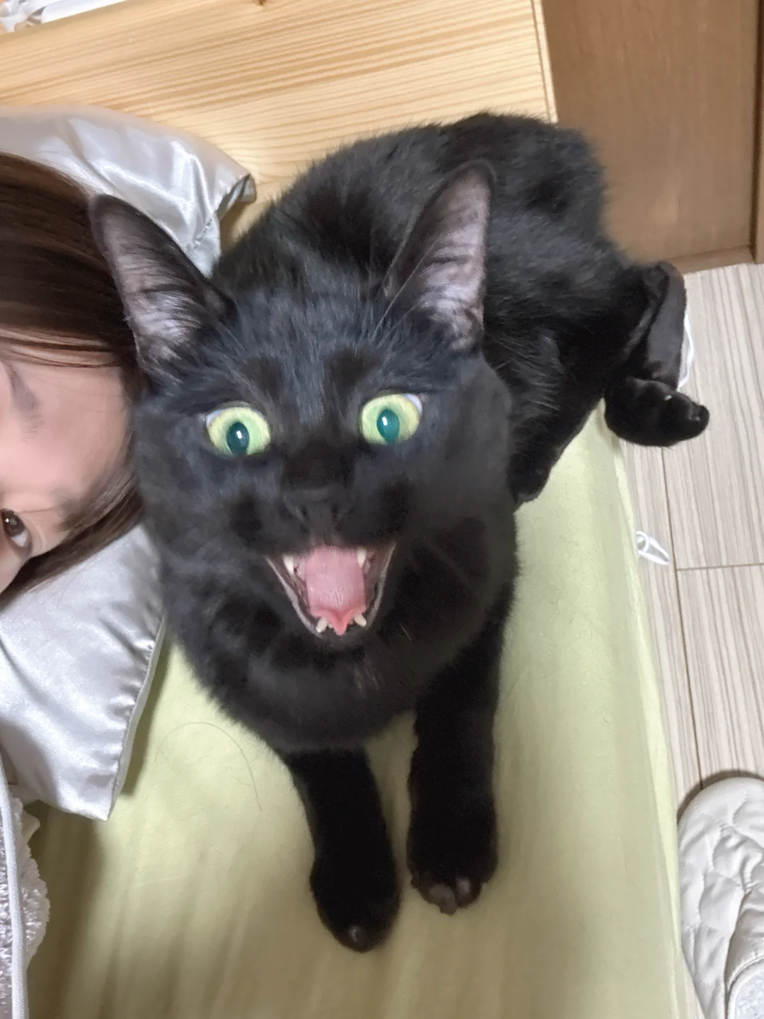 哈！