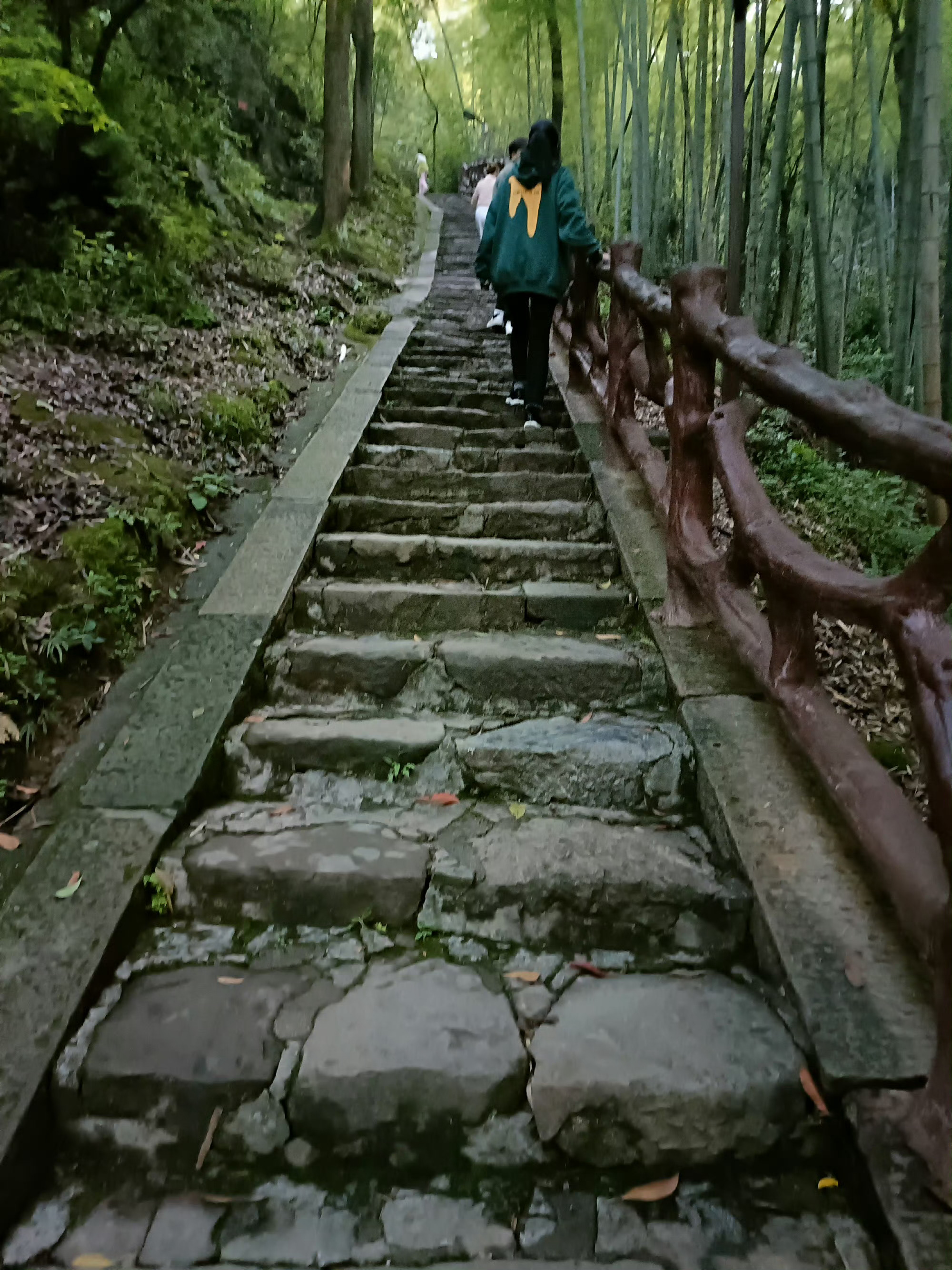 悟道重在悟心，心清了杂念尽消，前路自会通达。