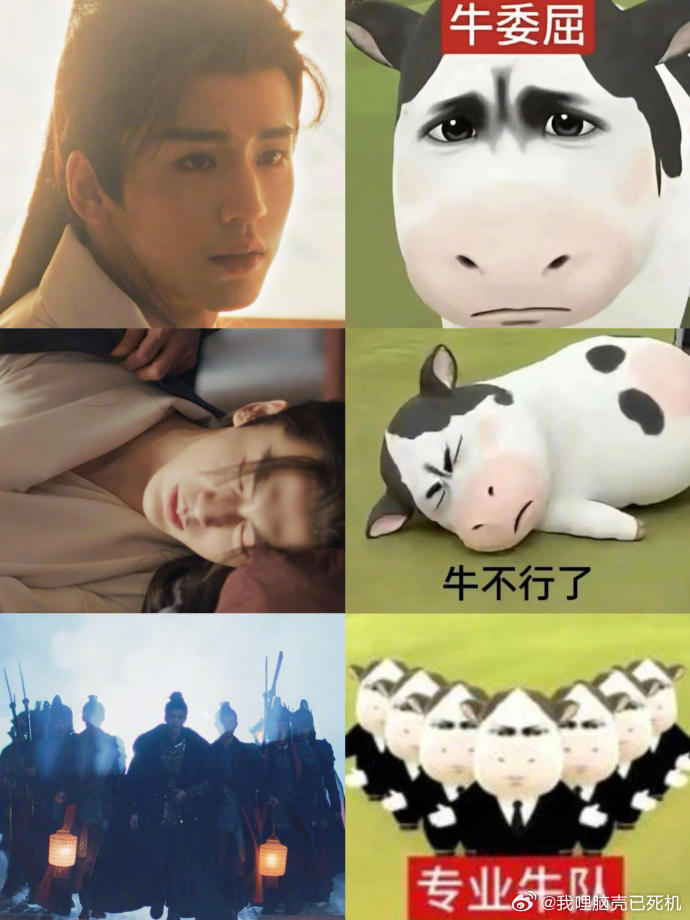 逐玉的表情包逐玉动物塑 逐玉动物塑，逐玉的表情包来袭，咱就说看一遍笑一遍的程度，