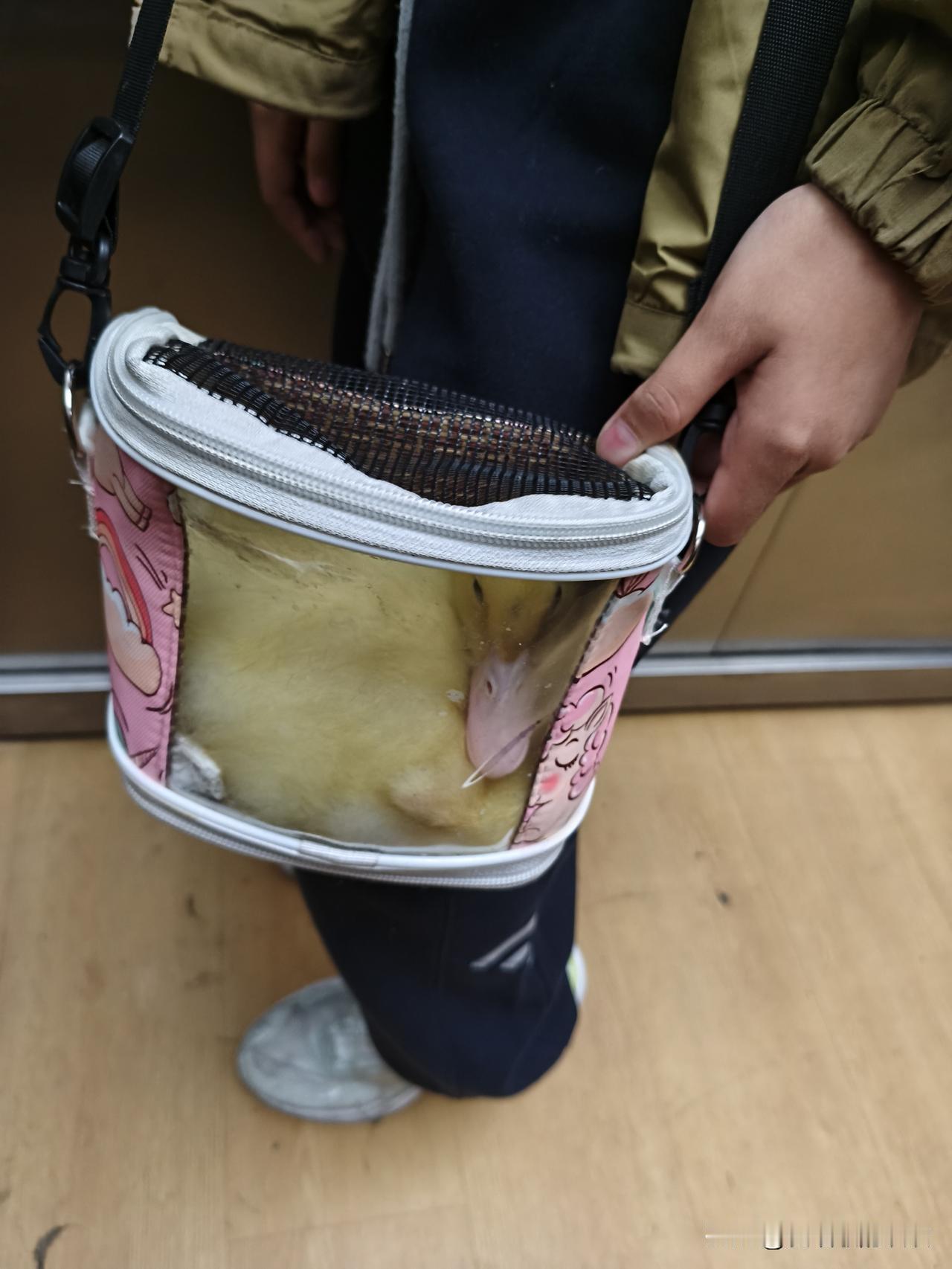 我是乌鲁木齐人，73年属牛的，今年53岁。

早上11：00左右，我正在大厅里值