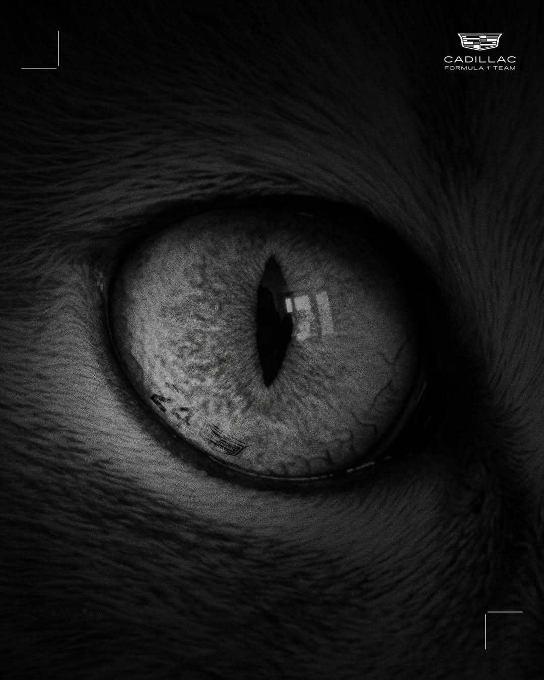 感觉暗示得很明显了，而且日期也有了1月5日期待一下f1