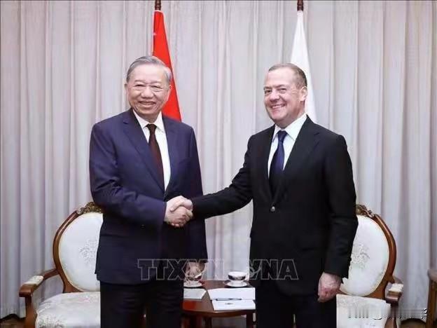 同是党首，但地位有所差别，苏林和梅德韦杰借朝鲜宝地举行了政党首脑会谈，苏林在越南