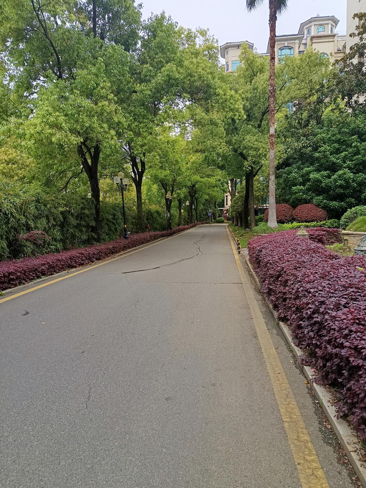 今天武汉市又下雨了，早晨老公冒雨去上班了，我昨天牙疼去医针打点滴，今天好多了，我